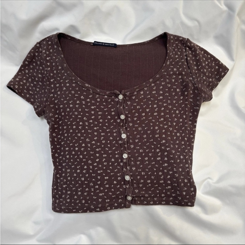 Brandy Melville Brown Floral Zelly Short Sleeve Top Cropped